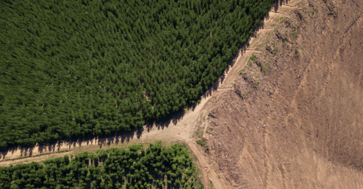 farm_area_overhead_1200x627