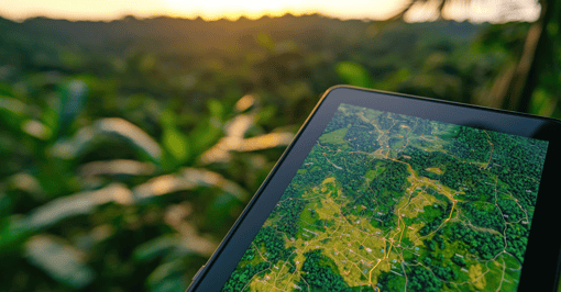 forest_map_1200x627